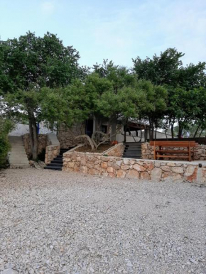 Holiday home Ivana-Vrana lake